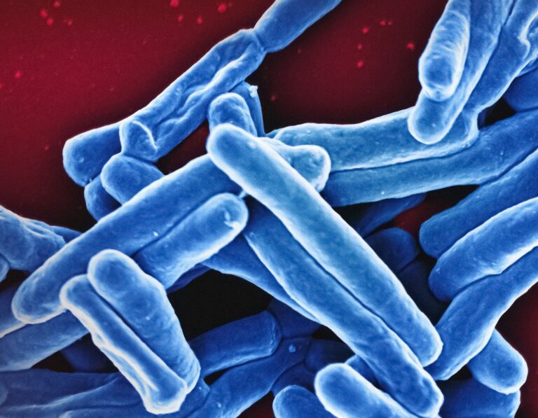 a group of blue and white bacteria cells